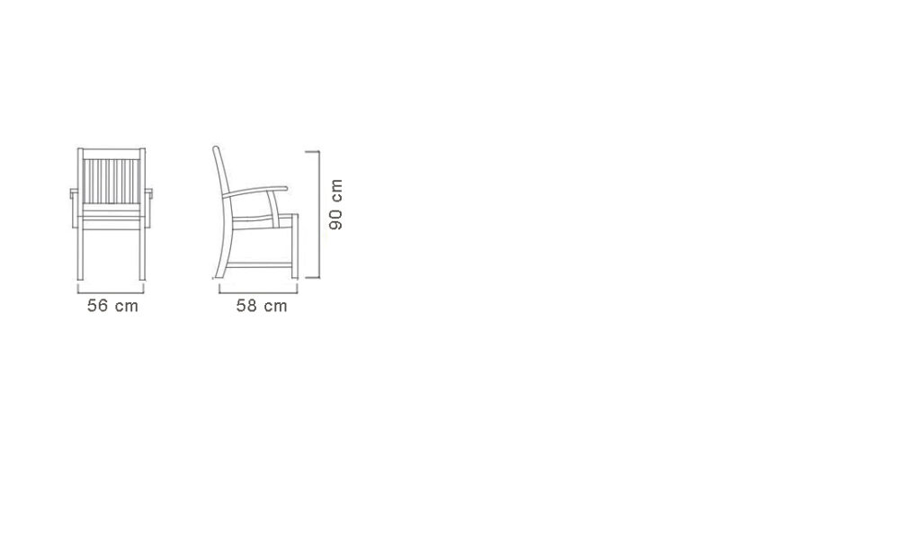 BEAUTY DINING CHAIR WITH ARM